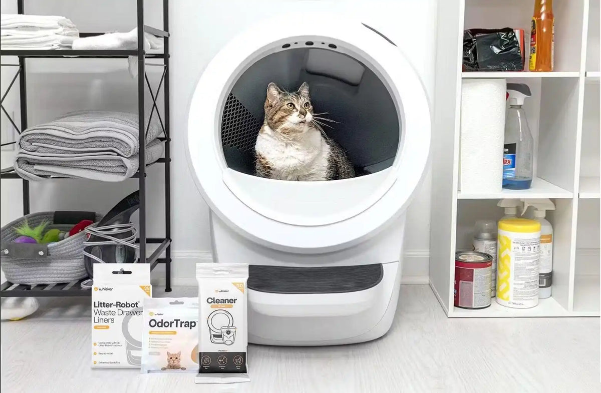 Litter-Robot® 4 Reconditioned Bundle