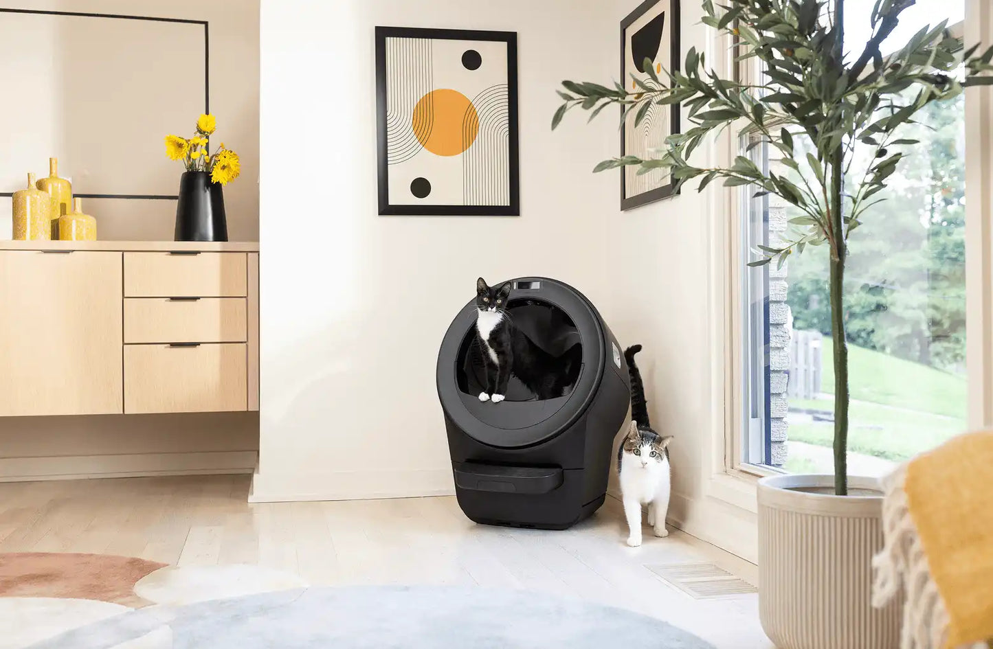 Litter-Robot® 5 Double Bundle