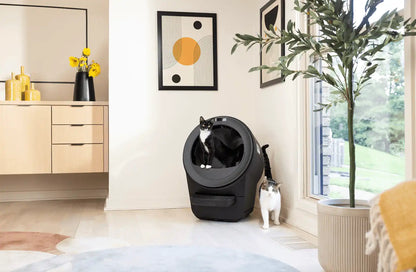 Litter-Robot® 5 Double Bundle