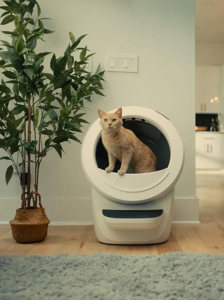 Litter-Robot® 4 + Extended Warranty