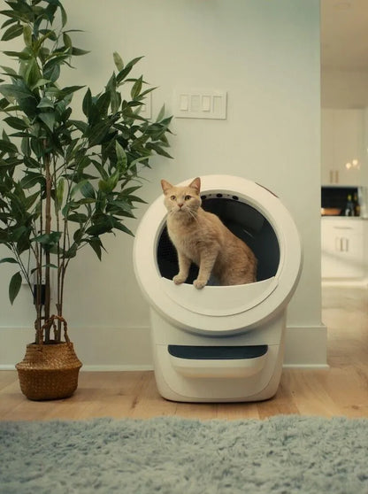Litter-Robot® 4 + Extended Warranty
