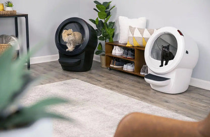Litter-Robot® 4 Double Bundle