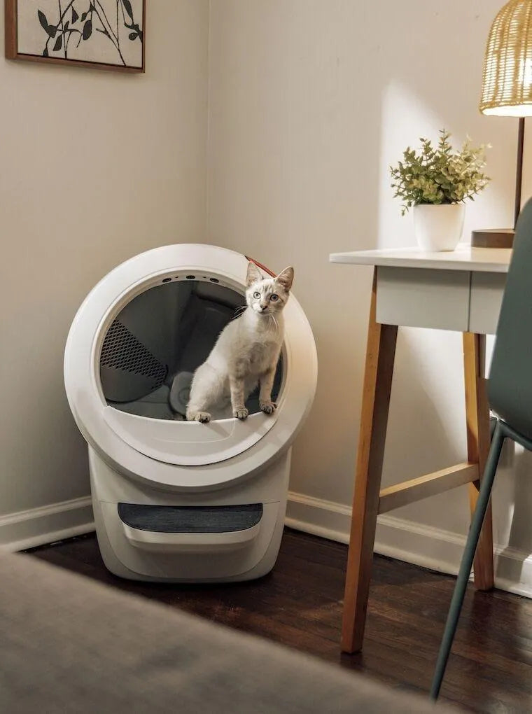 Litter-Robot® 4 Insights Bundle