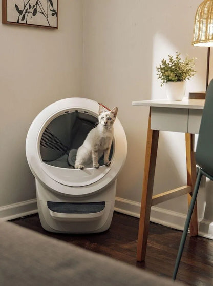 Litter-Robot® 4 Insights Bundle