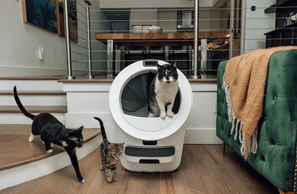 Litter-Robot® 5 Pro Double Bundle