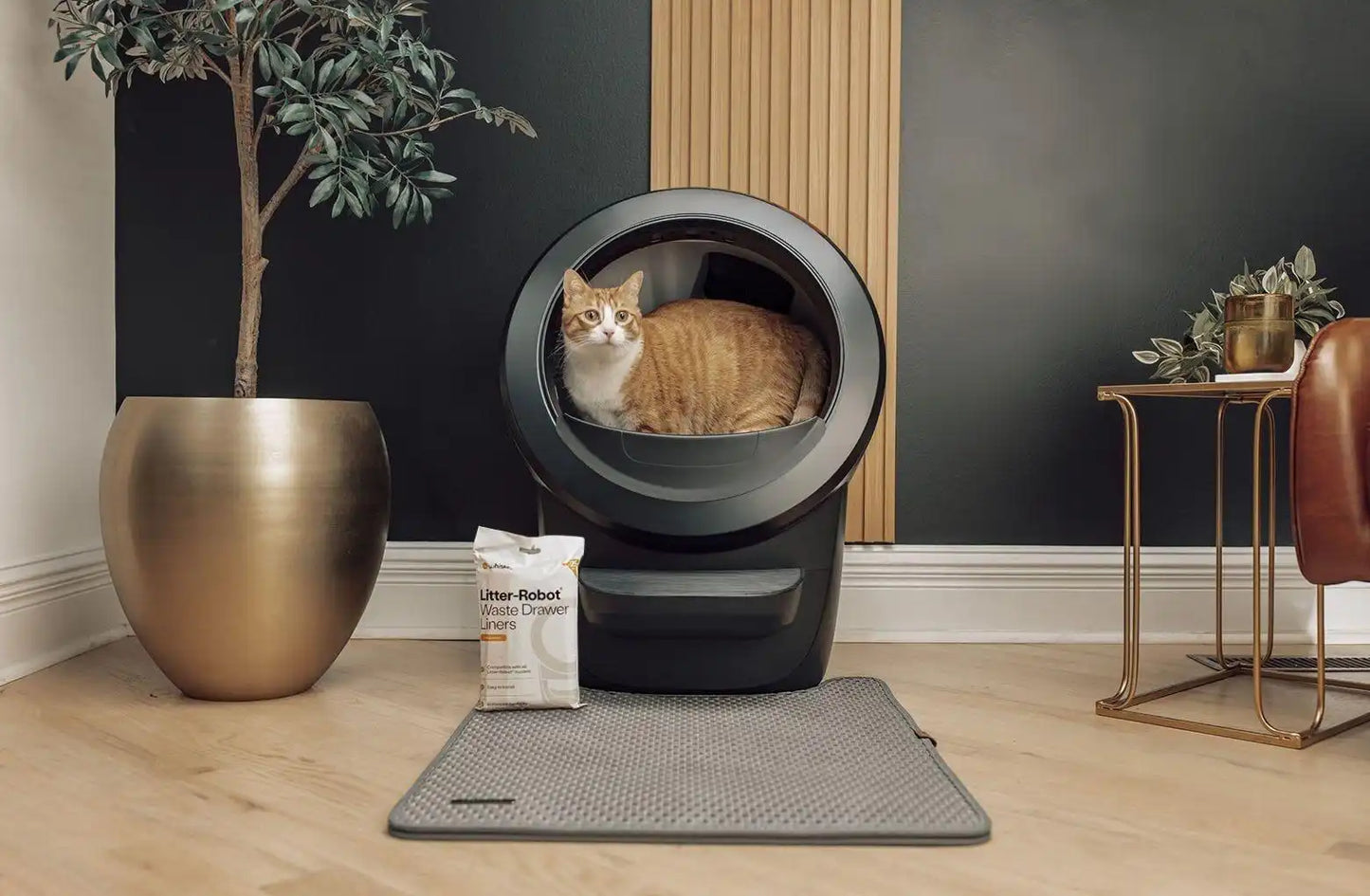 Litter-Robot® 4 Insights Bundle